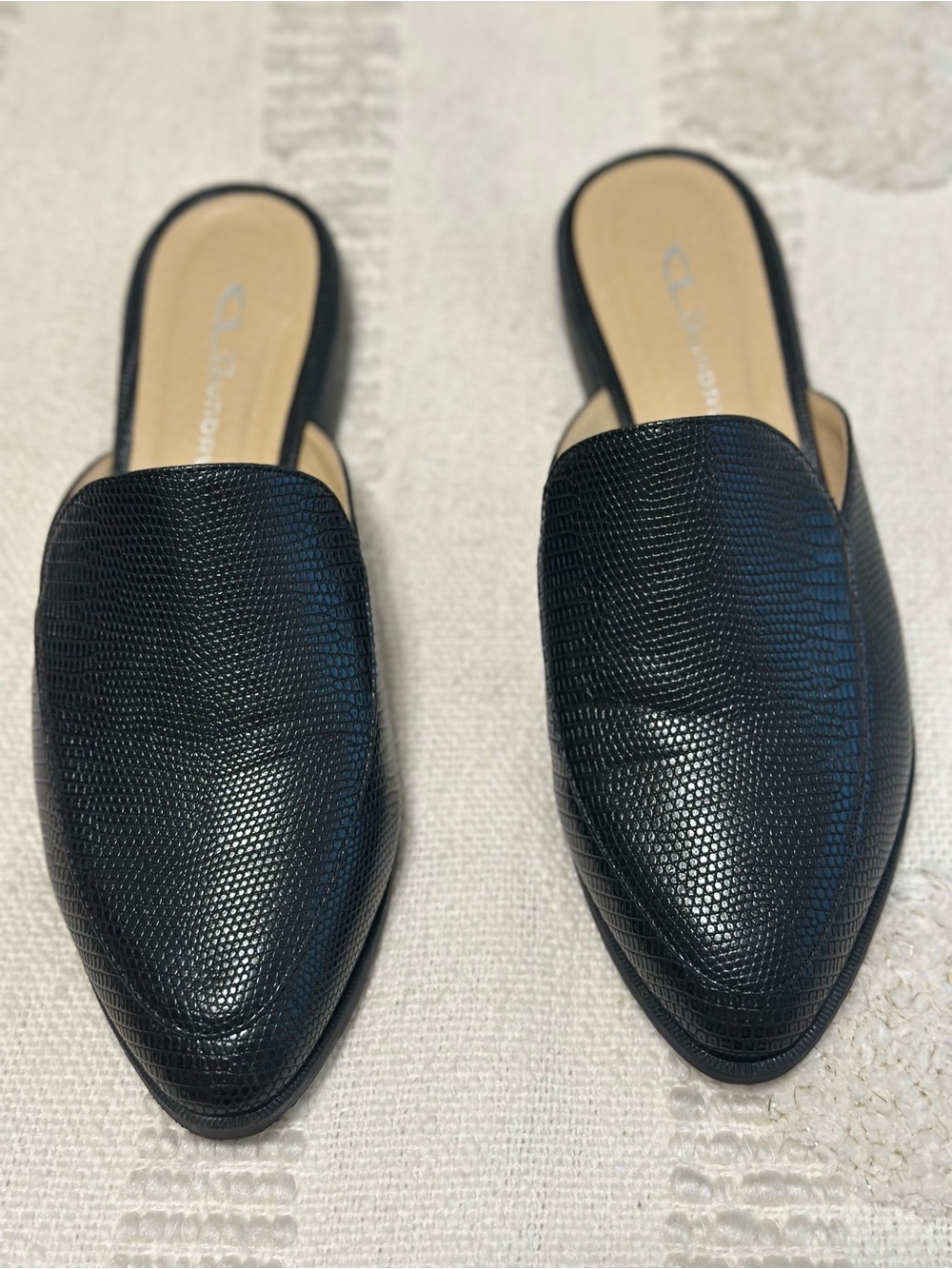 CLlaundry slides